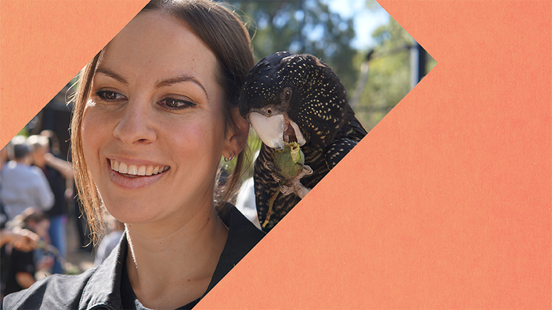 WA Showcase Listing 800x450_.png