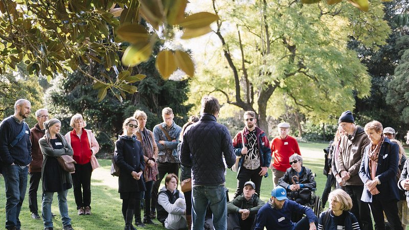 New Shoots Garden of poems