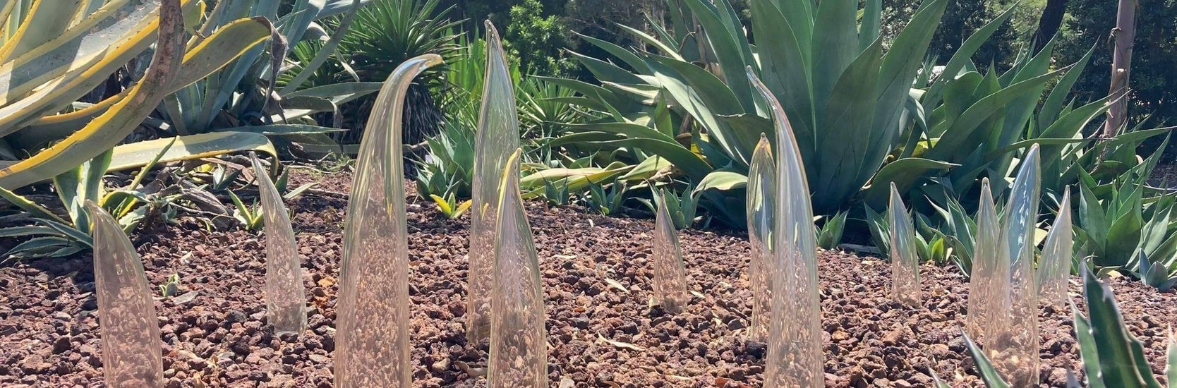 Sculpture in the garden-Evolve by Laura Nolan-Red Room Poetry-Image