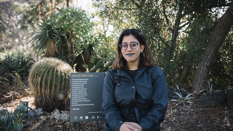 New Shoots Garden of poems