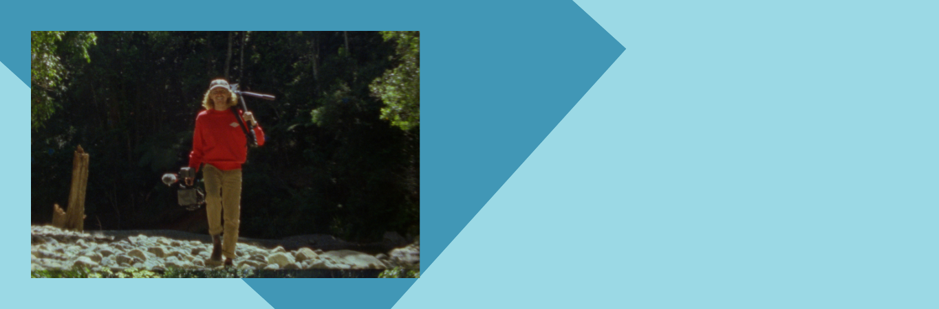 BLOG GAGA WAKULDA - Header