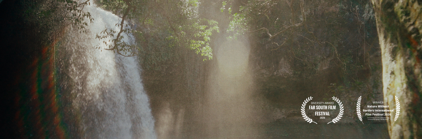 BLOG Gaga Wakulda - Header (1)