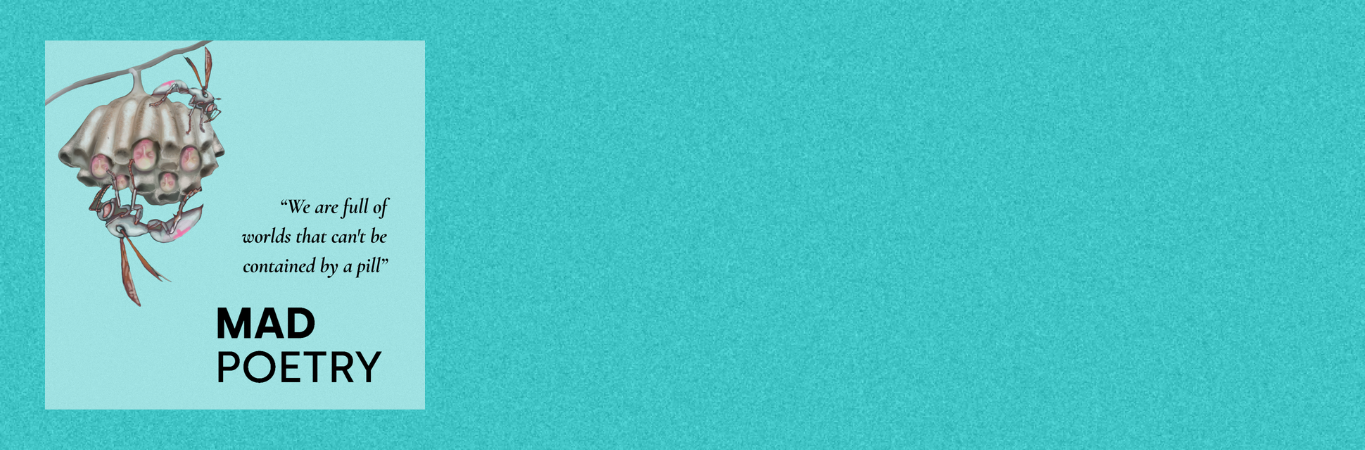 BLOG MAD Poetry Interns - Header