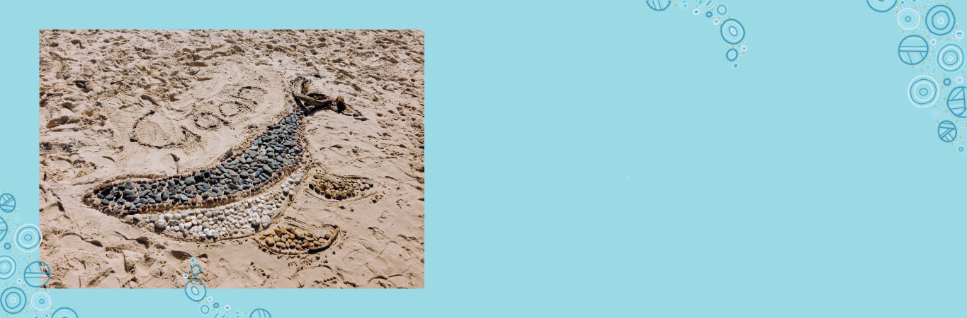 BLOG Whale Song - Header