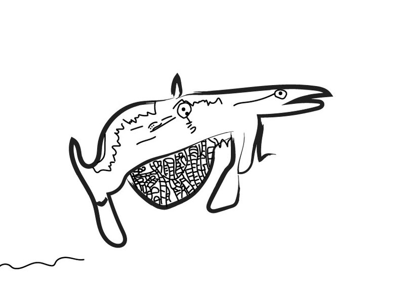 A digitised children's illustration of a whale with a patterned belly.