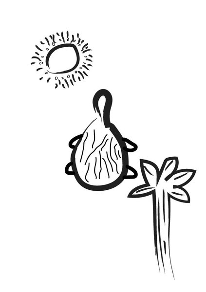 A digitised children's illustration of a sun, a turtle, and a palm tree.