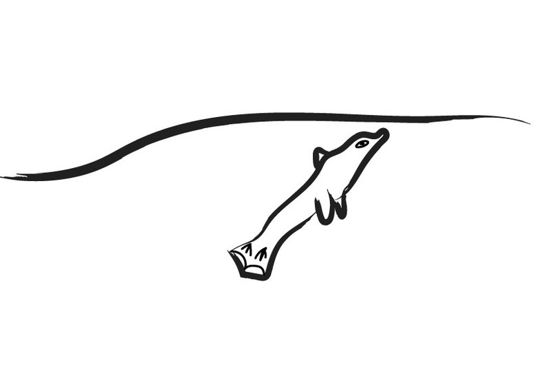 A digitised children's illustration of a dolphin swimming underwater, about to break the surface.