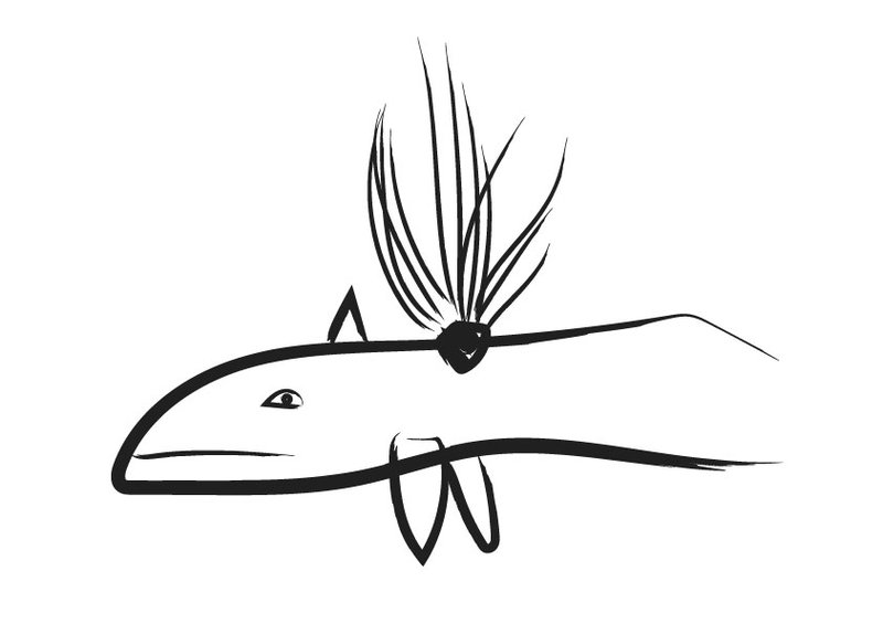 A digitised children's illustration showing a large, long whale spurting water from its blowhole.