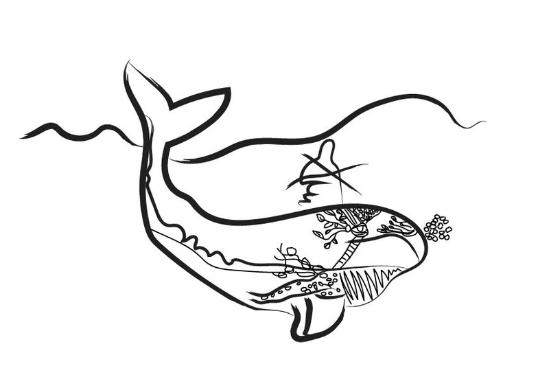 A digitised children's illustration of a patterned whale, its tail breaking the surface of the water.