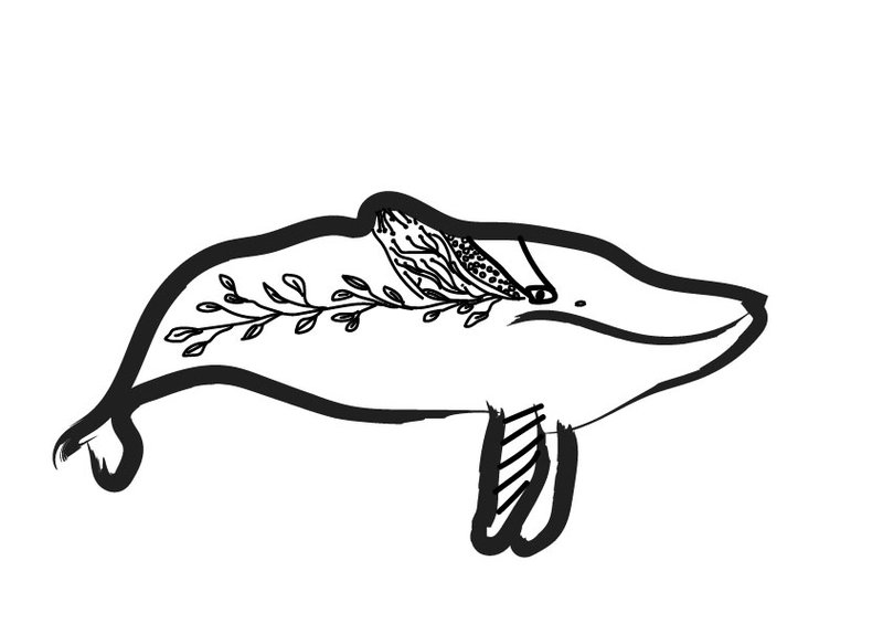 A digitised children's illustration of a whale with floral patterning.