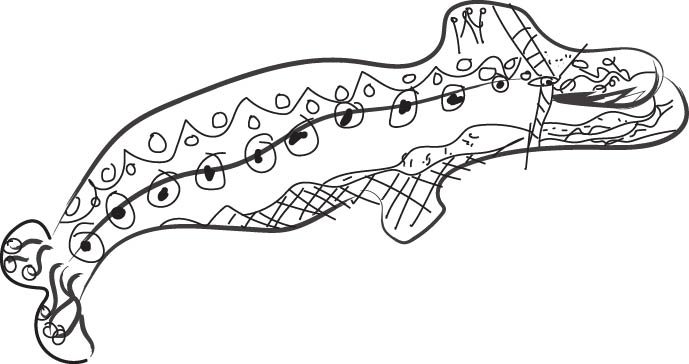 A digitised children's illustration of a patterned whale.