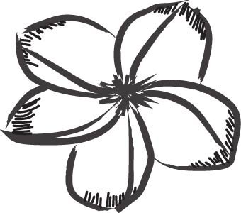 A digitised children's illustration of a frangipani.