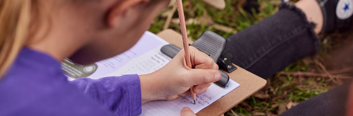 HEADER The Sounds of the Heart