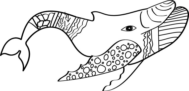 Drawing of a whale with intricate patterns.