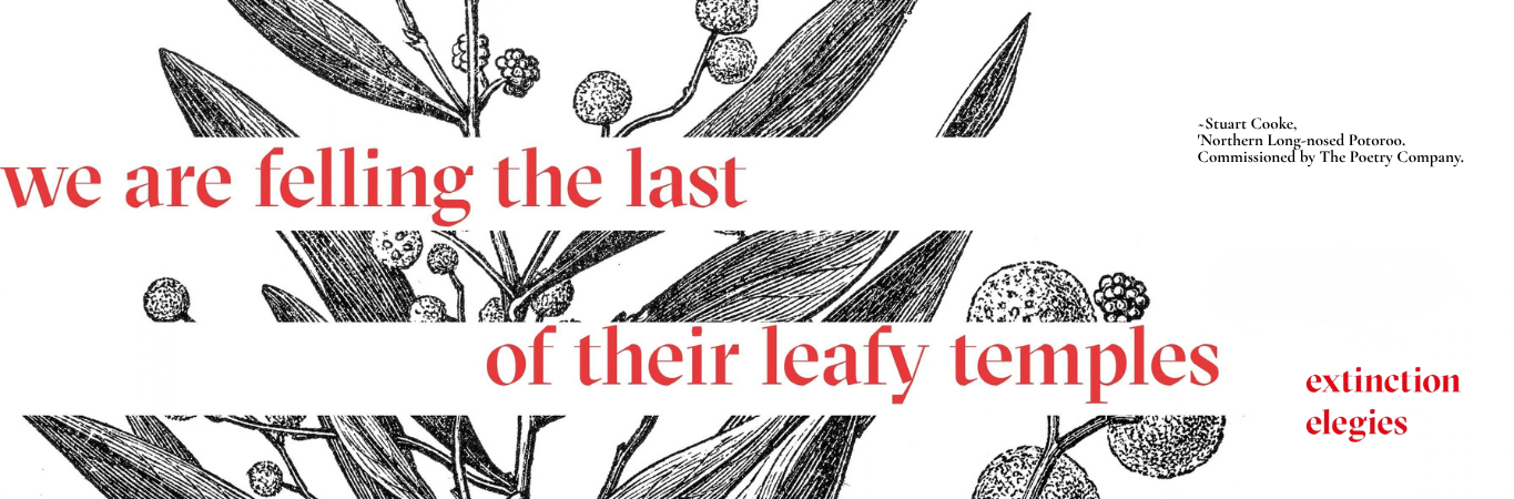 NEW SITE Extintion Elegies - Header