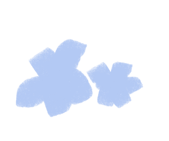 PF-baby blue-bush-flower