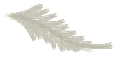 Hand drawn flora