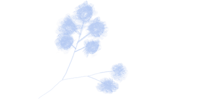 Hand drawn flora