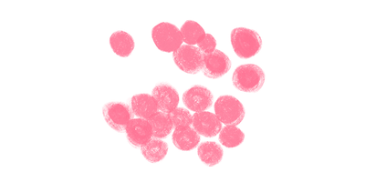 Hand drawn flora