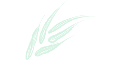 Hand drawn flora