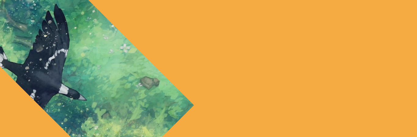 Spell to grow a tree - Header 1365x450