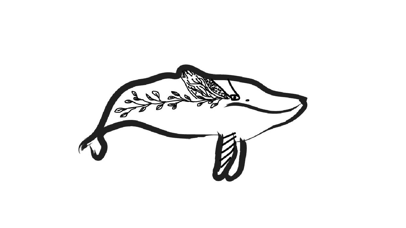 Bundjalung for web 1