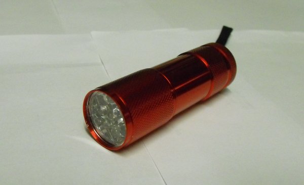 the-torch.jpg