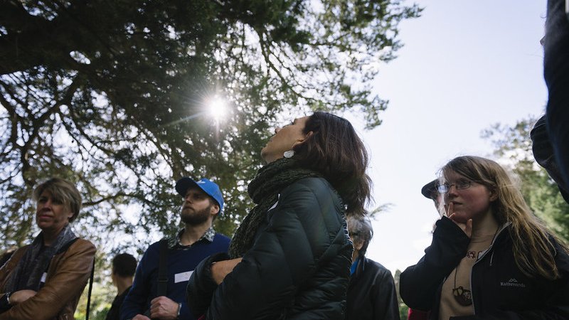 New Shoots Garden of poems